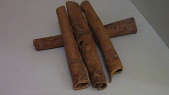 Kaneel